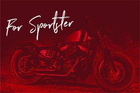 for_sportster_V2